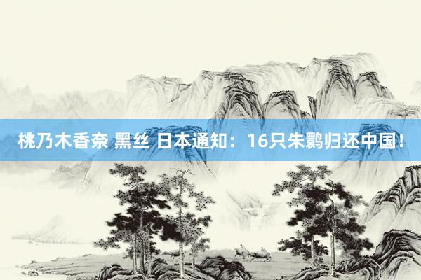 桃乃木香奈 黑丝 日本通知：16只朱鹮归还中国！