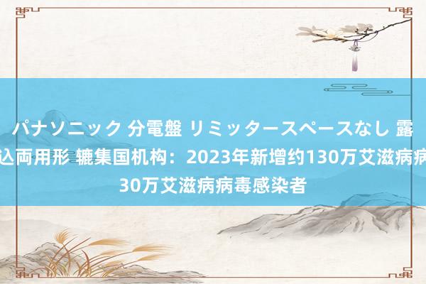 パナソニック 分電盤 リミッタースペースなし 露出・半埋込両用形 辘集国机构：2023年新增约130万艾滋病病毒感染者