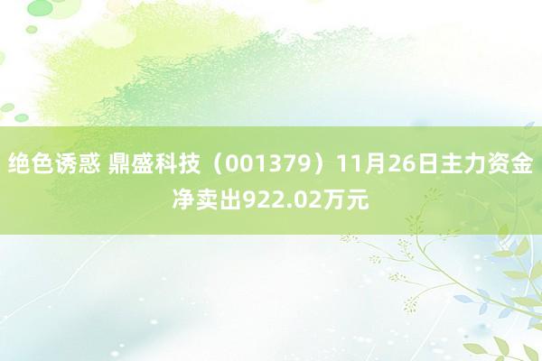 绝色诱惑 鼎盛科技（001379）11月26日主力资金净卖出922.02万元