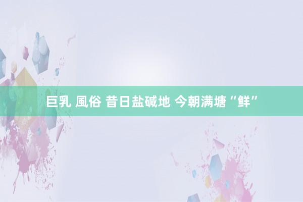 巨乳 風俗 昔日盐碱地 今朝满塘“鲜”