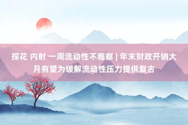 探花 内射 一周流动性不雅察 | 年末财政开销大月有望为缓解流动性压力提供复古