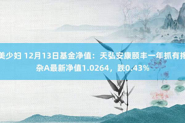 美少妇 12月13日基金净值：天弘安康颐丰一年抓有搀杂A最新净值1.0264，跌0.43%