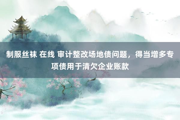 制服丝袜 在线 审计整改场地债问题，得当增多专项债用于清欠企业账款