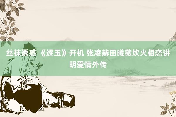 丝袜诱惑 《逐玉》开机 张凌赫田曦薇炊火相恋讲明爱情外传