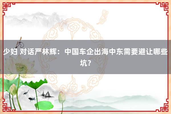 少妇 对话严林辉：中国车企出海中东需要避让哪些坑？