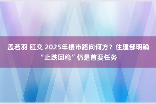 孟若羽 肛交 2025年楼市路向何方？住建部明确“止跌回稳”仍是首要任务