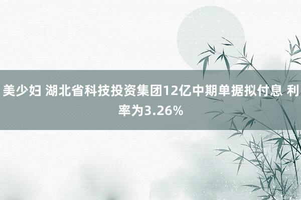 美少妇 湖北省科技投资集团12亿中期单据拟付息 利率为3.26%