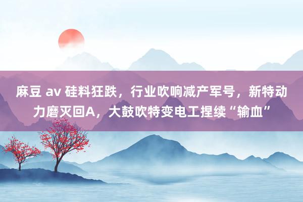 麻豆 av 硅料狂跌，行业吹响减产军号，新特动力磨灭回A，大鼓吹特变电工捏续“输血”