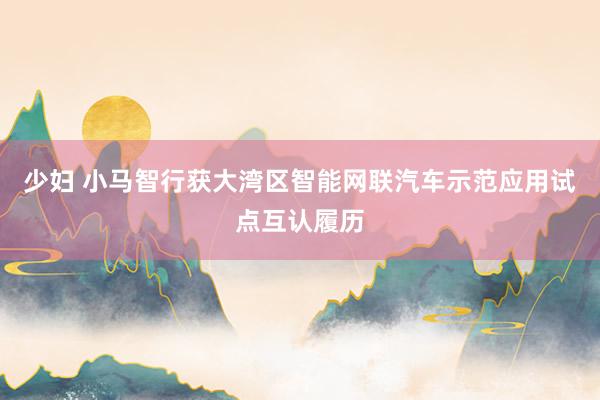 少妇 小马智行获大湾区智能网联汽车示范应用试点互认履历