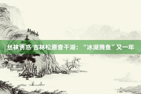 丝袜诱惑 吉林松原查干湖：“冰湖腾鱼”又一年