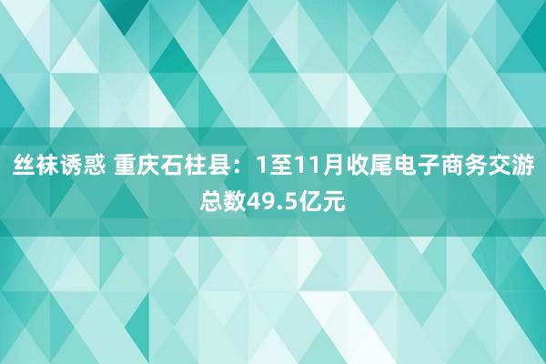 丝袜诱惑 重庆石柱县：1至11月收尾电子商务交游总数49.5亿元