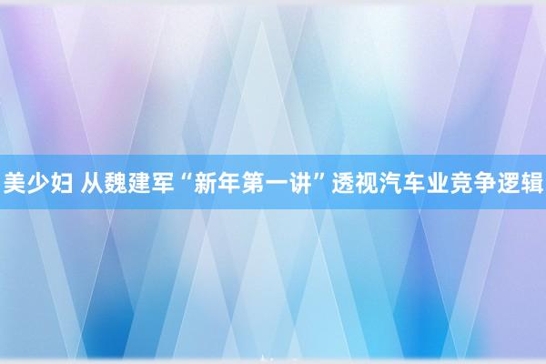 美少妇 从魏建军“新年第一讲”透视汽车业竞争逻辑