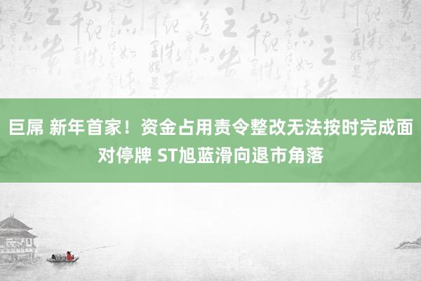 巨屌 新年首家！资金占用责令整改无法按时完成面对停牌 ST旭蓝滑向退市角落