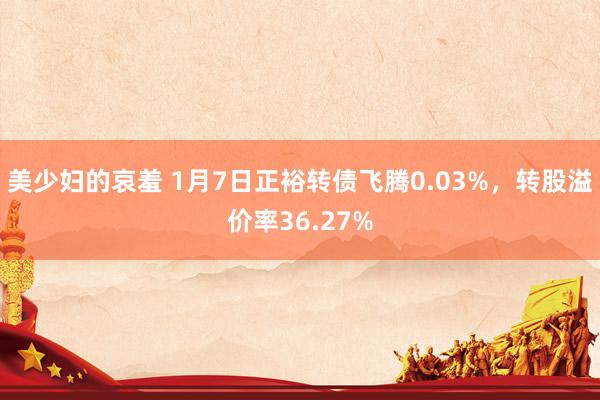美少妇的哀羞 1月7日正裕转债飞腾0.03%,转股溢价率36.27%
