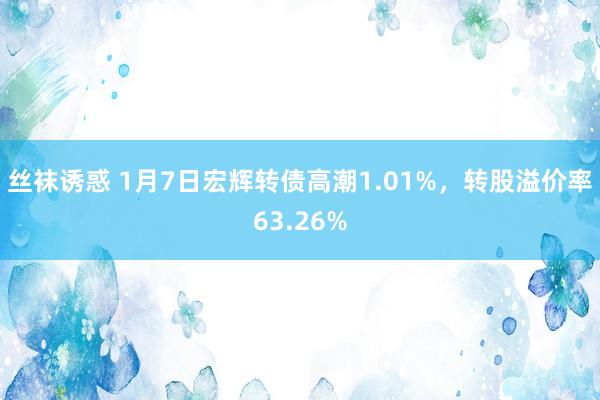 丝袜诱惑 1月7日宏辉转债高潮1.01%，转股溢价率63.26%