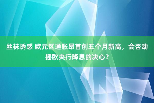 丝袜诱惑 欧元区通胀昂首创五个月新高，会否动摇欧央行降息的决心？
