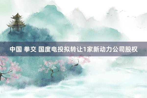 中国 拳交 国度电投拟转让1家新动力公司股权