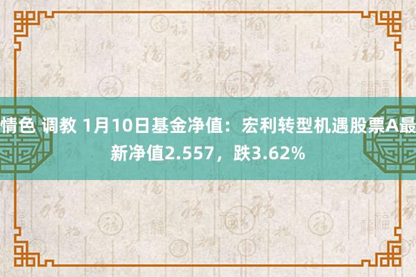 情色 调教 1月10日基金净值：宏利转型机遇股票A最新净值2.557，跌3.62%