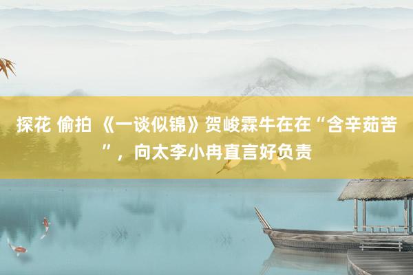 探花 偷拍 《一谈似锦》贺峻霖牛在在“含辛茹苦”，向太李小冉直言好负责