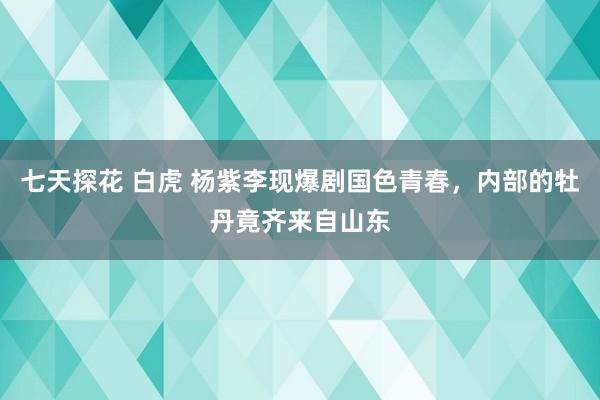 七天探花 白虎 杨紫李现爆剧国色青春，内部的牡丹竟齐来自山东