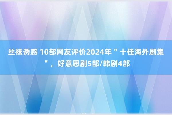 丝袜诱惑 10部网友评价2024年＂十佳海外剧集＂，好意思剧5部/韩剧4部