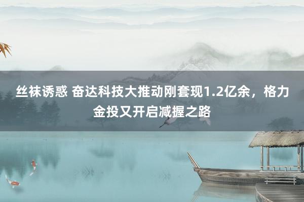 丝袜诱惑 奋达科技大推动刚套现1.2亿余，格力金投又开启减握之路