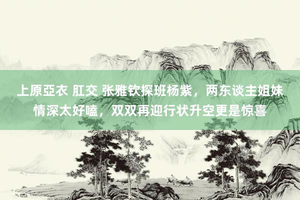 上原亞衣 肛交 张雅钦探班杨紫，两东谈主姐妹情深太好嗑，双双再迎行状升空更是惊喜