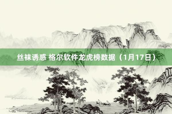 丝袜诱惑 格尔软件龙虎榜数据（1月17日）