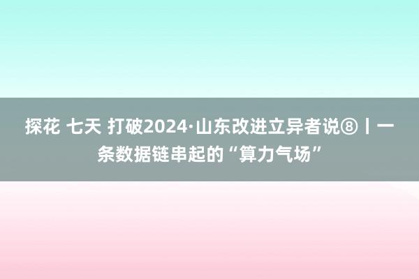 探花 七天 打破2024·山东改进立异者说⑧丨一条数据链串起的“算力气场”