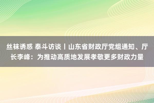 丝袜诱惑 泰斗访谈丨山东省财政厅党组通知、厅长李峰：为推动高质地发展孝敬更多财政力量