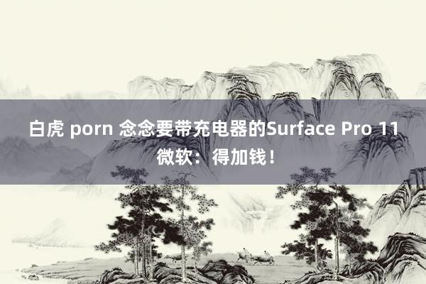 白虎 porn 念念要带充电器的Surface Pro 11 微软：得加钱！
