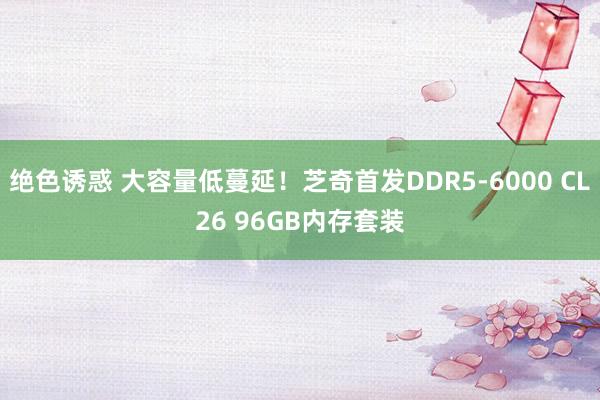 绝色诱惑 大容量低蔓延！芝奇首发DDR5-6000 CL26 96GB内存套装