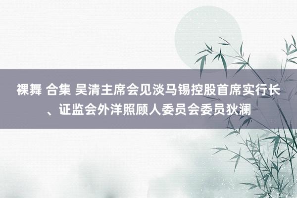 裸舞 合集 吴清主席会见淡马锡控股首席实行长、证监会外洋照顾人委员会委员狄澜