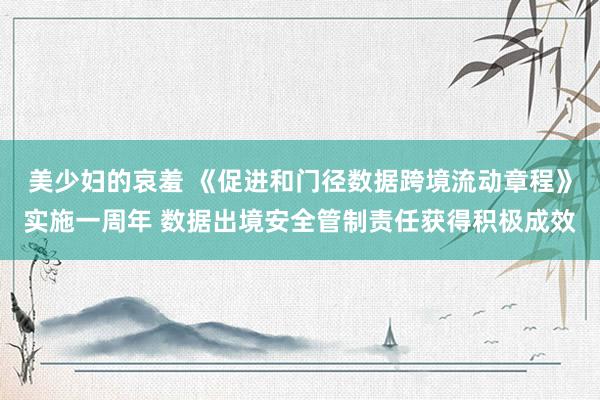 美少妇的哀羞 《促进和门径数据跨境流动章程》实施一周年 数据出境安全管制责任获得积极成效