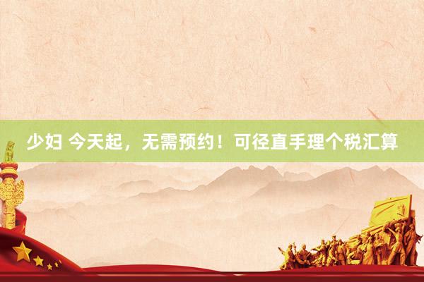 少妇 今天起，无需预约！可径直手理个税汇算