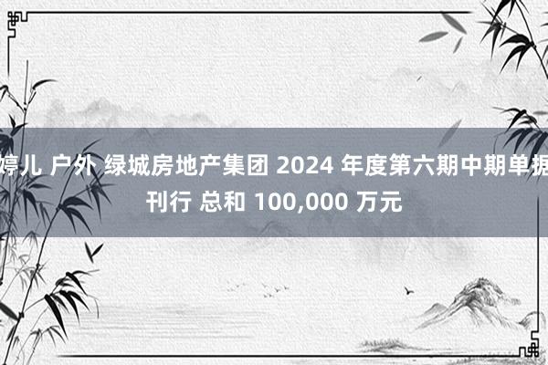 婷儿 户外 绿城房地产集团 2024 年度第六期中期单据刊行 总和 100，000 万元