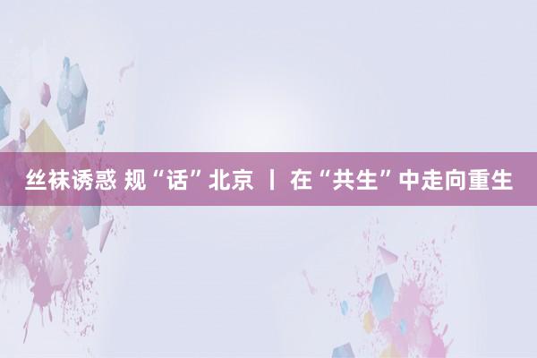 丝袜诱惑 规“话”北京 丨 在“共生”中走向重生