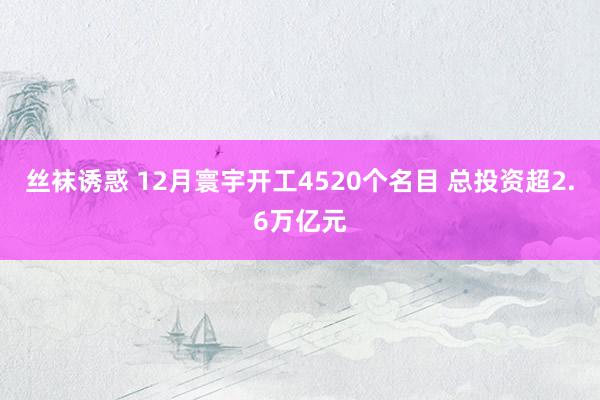 丝袜诱惑 12月寰宇开工4520个名目 总投资超2.6万亿元