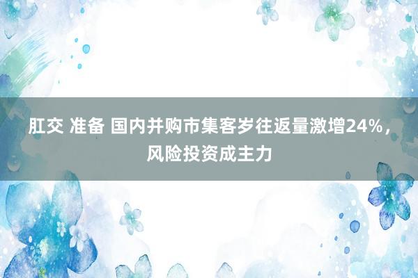 肛交 准备 国内并购市集客岁往返量激增24%，风险投资成主力