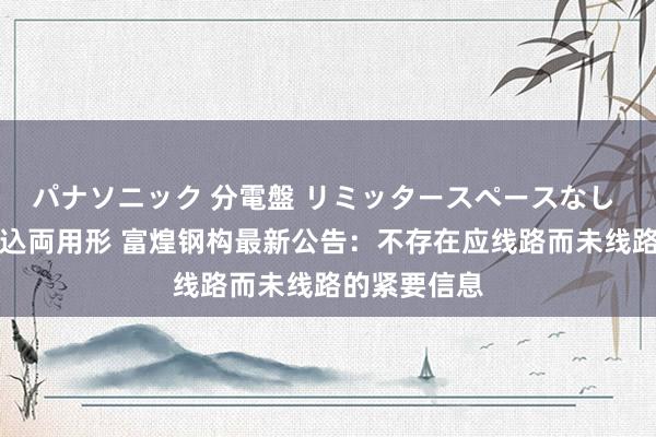 パナソニック 分電盤 リミッタースペースなし 露出・半埋込両用形 富煌钢构最新公告：不存在应线路而未线路的紧要信息