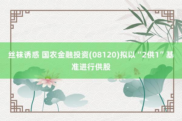 丝袜诱惑 国农金融投资(08120)拟以“2供1”基准进行供股