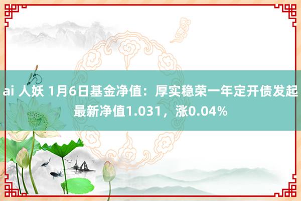 ai 人妖 1月6日基金净值：厚实稳荣一年定开债发起最新净值1.031，涨0.04%