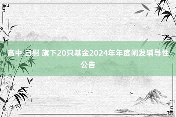 高中 自慰 旗下20只基金2024年年度阐发辅导性公告