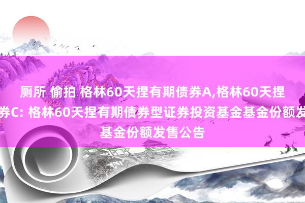 厕所 偷拍 格林60天捏有期债券A,格林60天捏有期债券C: 格林60天捏有期债券型证券投资基金基金份额发售公告