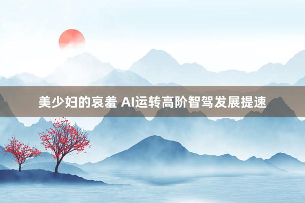 美少妇的哀羞 AI运转高阶智驾发展提速