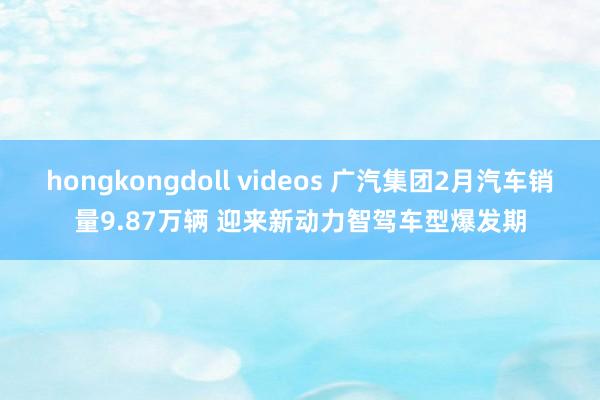 hongkongdoll videos 广汽集团2月汽车销量9.87万辆 迎来新动力智驾车型爆发期