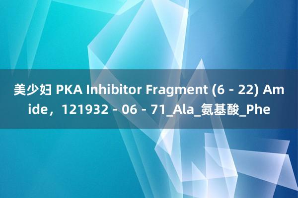 美少妇 PKA Inhibitor Fragment (6 - 22) Amide,121932 - 06 - 71_Ala_氨基酸_Phe