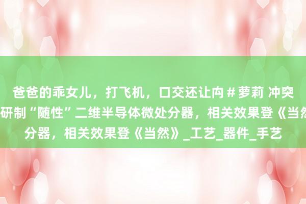 爸爸的乖女儿，打飞机，口交还让禸＃萝莉 冲突硅基材料！复旦团队研制“随性”二维半导体微处分器，相关效果登《当然》_工艺_器件_手艺