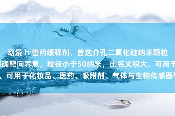 动漫 h 兽药缓释剂，首选介孔二氧化硅纳米颗粒，农药化肥控释助剂、精确靶向养息，粒径小于50纳米，比名义积大，可用于化妆品、医药、吸附剂、气体与生物传感器等_材料_诈欺_孔谈