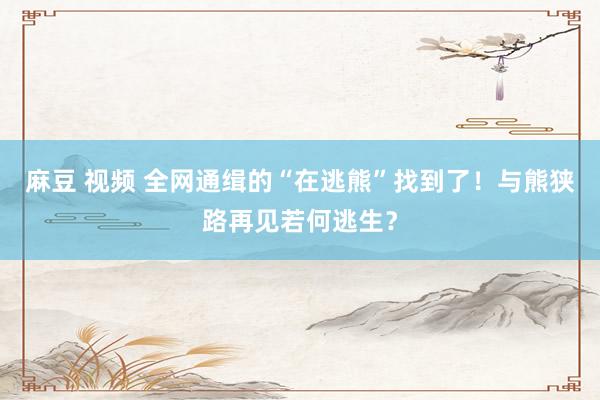 麻豆 视频 全网通缉的“在逃熊”找到了！与熊狭路再见若何逃生？